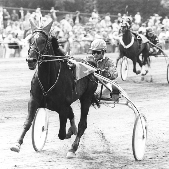 Da Steen Juul i 1993 vandt Dansk Trav Derby med Rudolf Le Ann, satte hesten en derbyrekord, der efterfølgende holdt i 15 år.