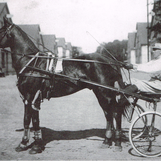 Holger Fischmann fotograferet ved staldene på Charlottenlund Travbane. Hesten menes at være derbyvinderen fra 1919, Union Boy.