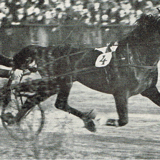Addison skærer målstregen som vinder ved en af hestens mange sejre for Sofus Sørensen.