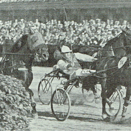 Rex the Great vinder Mesterskab for Danmark i 1937 foran Addison og Styrmand.