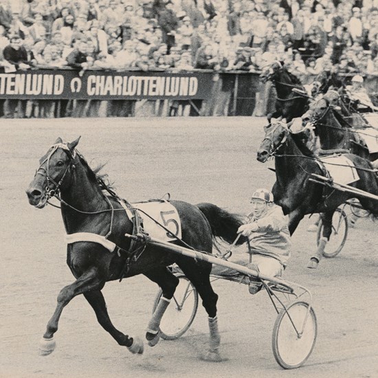 Osman Bogø var uden tvivl den bedste hest, der gennem tiden blev opdrættet på Stutteri Kejsergården. Udover sejrene i Dansk Trav Derby og Mesterskab for Danmark vandt den også Dansk Trav Kriterium 1971. (Foto: Burt Seeger)